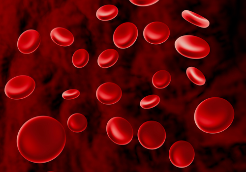 流れる赤血球
