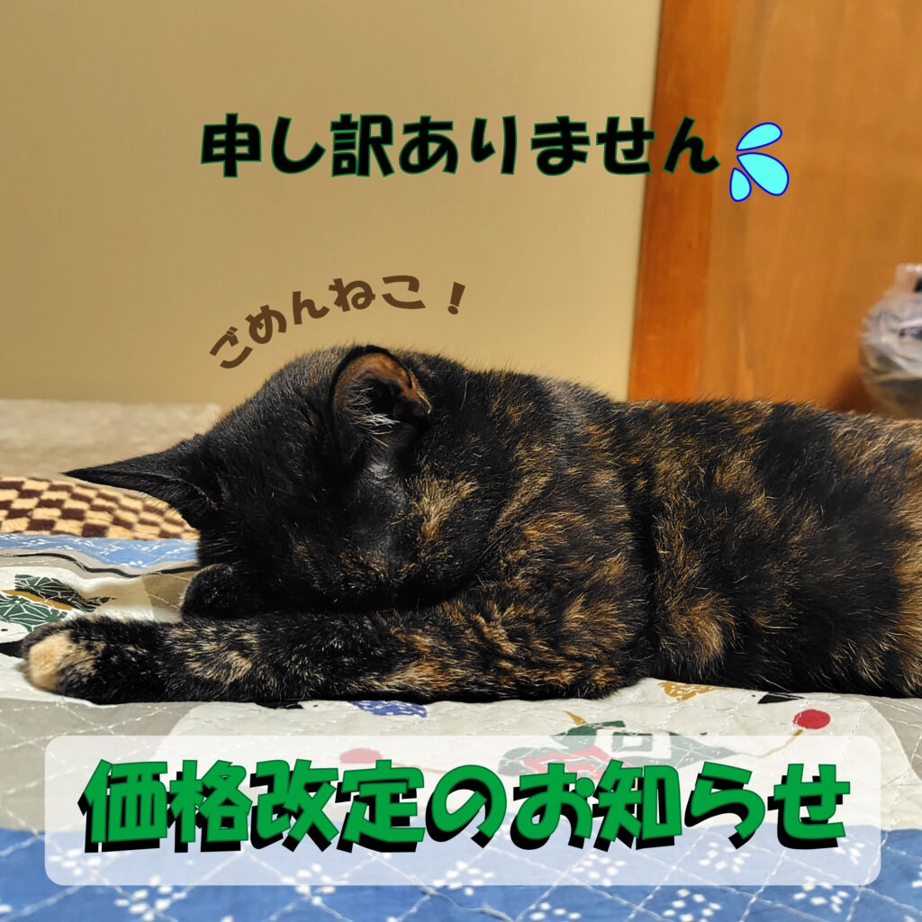 健康の森整体院、価格改定のお知らせ。副院長サビ猫マコのごめんねこ。