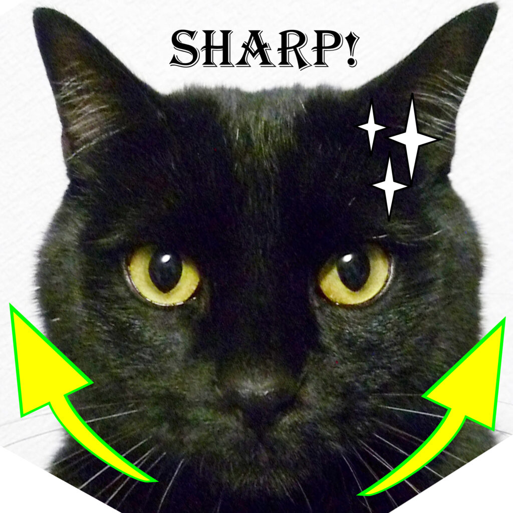 健康の森整体院　黒猫テト、フェイシャル整体でsharpに。